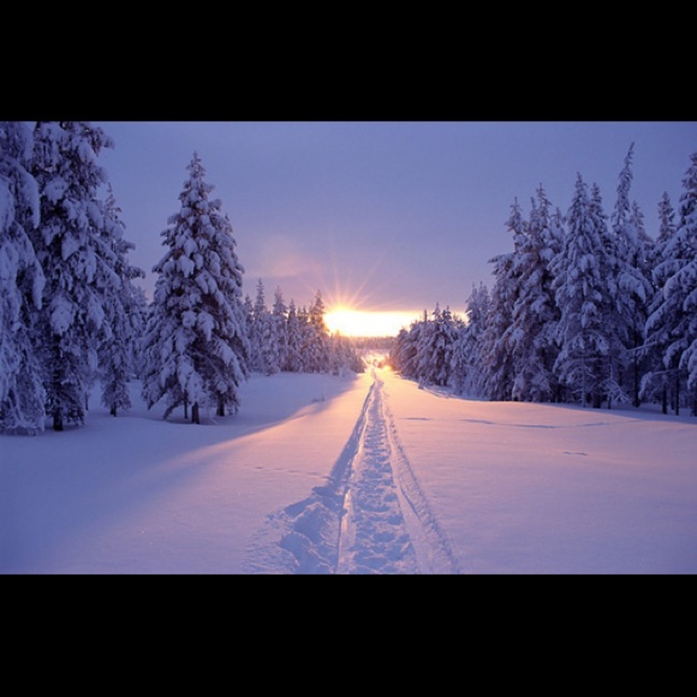 Meet your Posher, Darcel